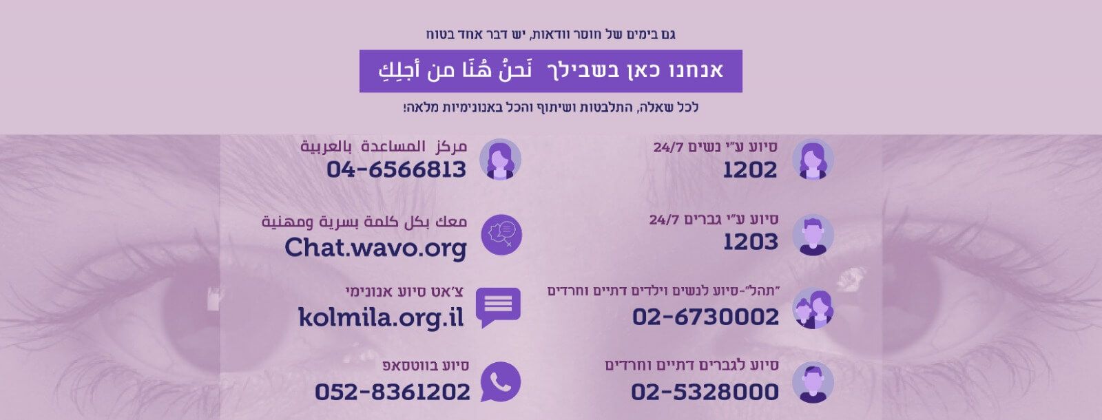 איגוד מרכזי הסיוע לנפגעות תקיפה מינית ולנפגעי תקיפה מינית בישראל