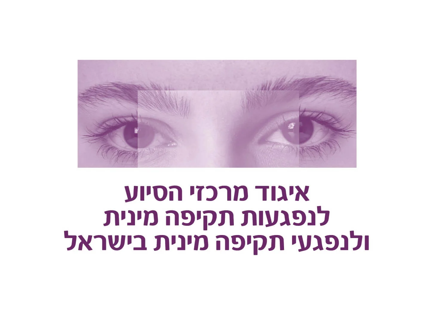 איגוד מרכזי הסיוע לנפגעות תקיפה מינית ולנפגעי תקיפה מינית בישראל