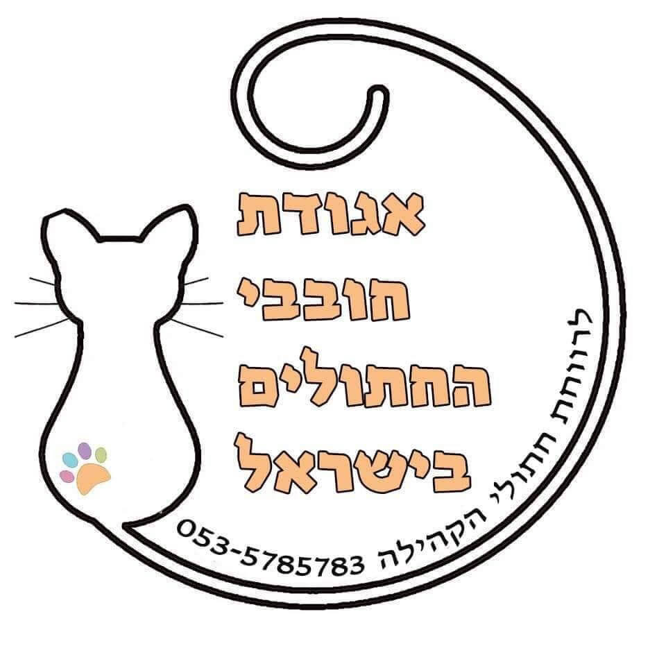 אגודת חובבי החתולים בישראל