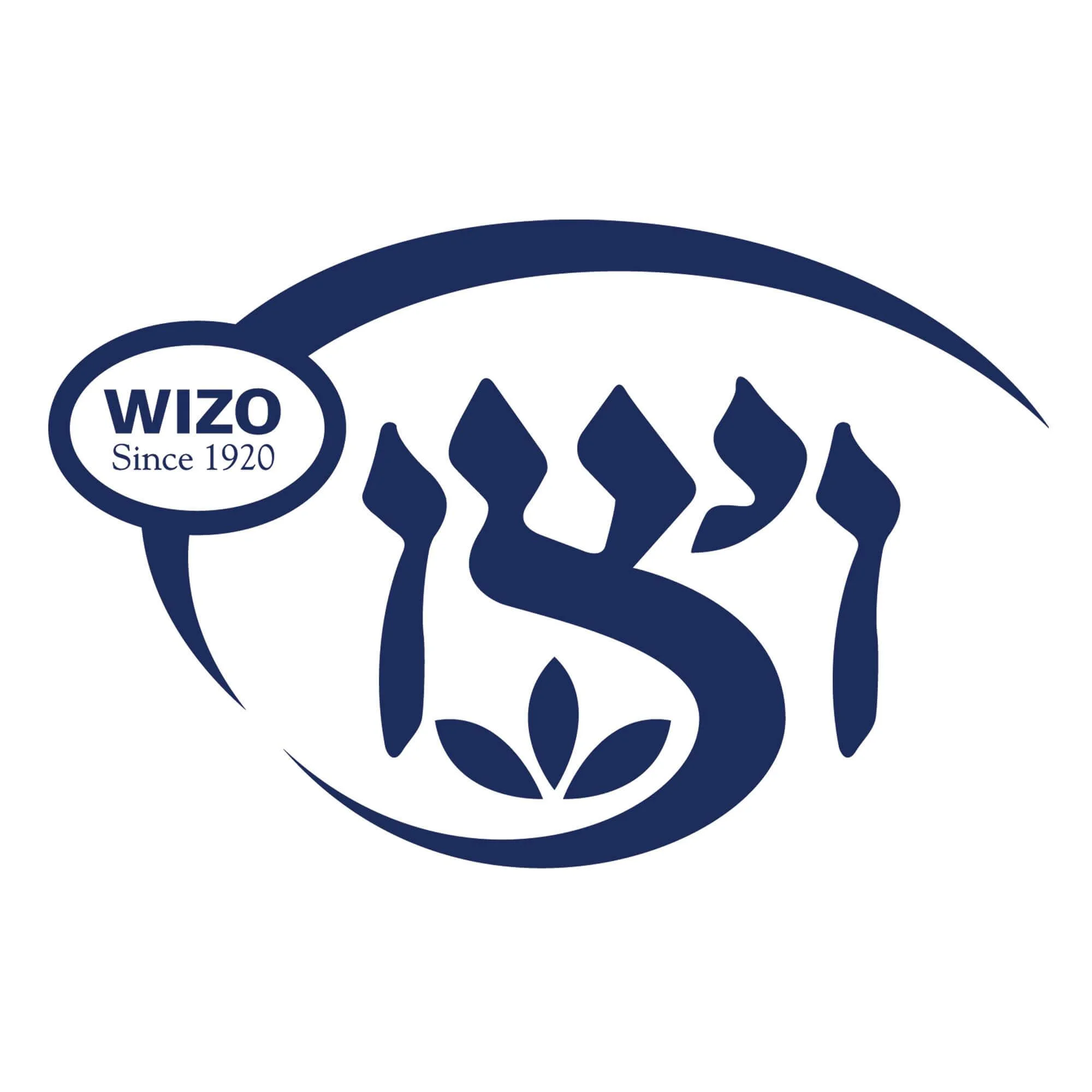ויצו אירגון נשים גהה