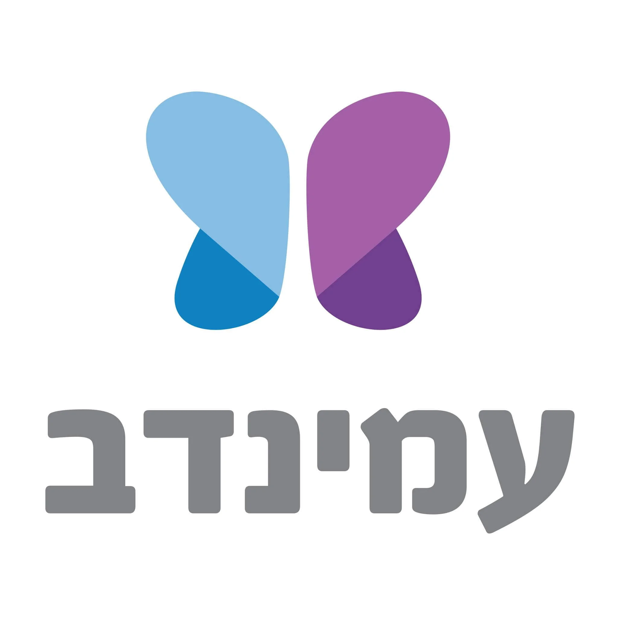 עמינדב - אגודה תורנית להתנדבות