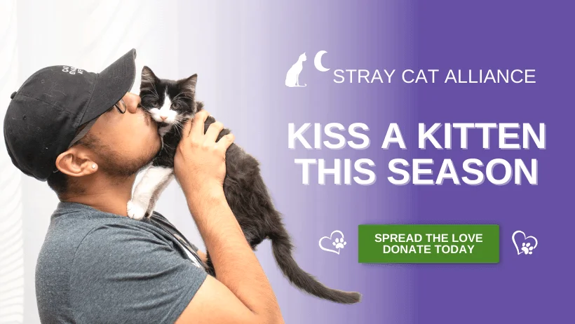 Stray Cat Alliance - Building a no kill nation, one stray at a time