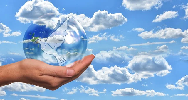 Agencies that Protect the Environment