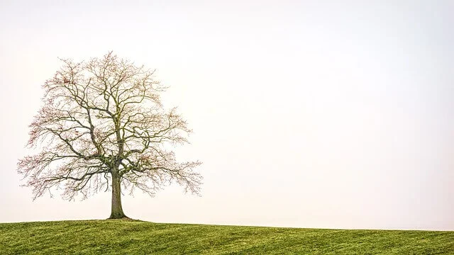 Fear of Being Alone