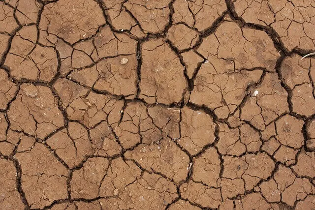 Global Warming