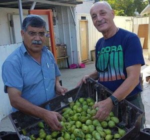 עמותת פת חנה - סיוע בעפולה