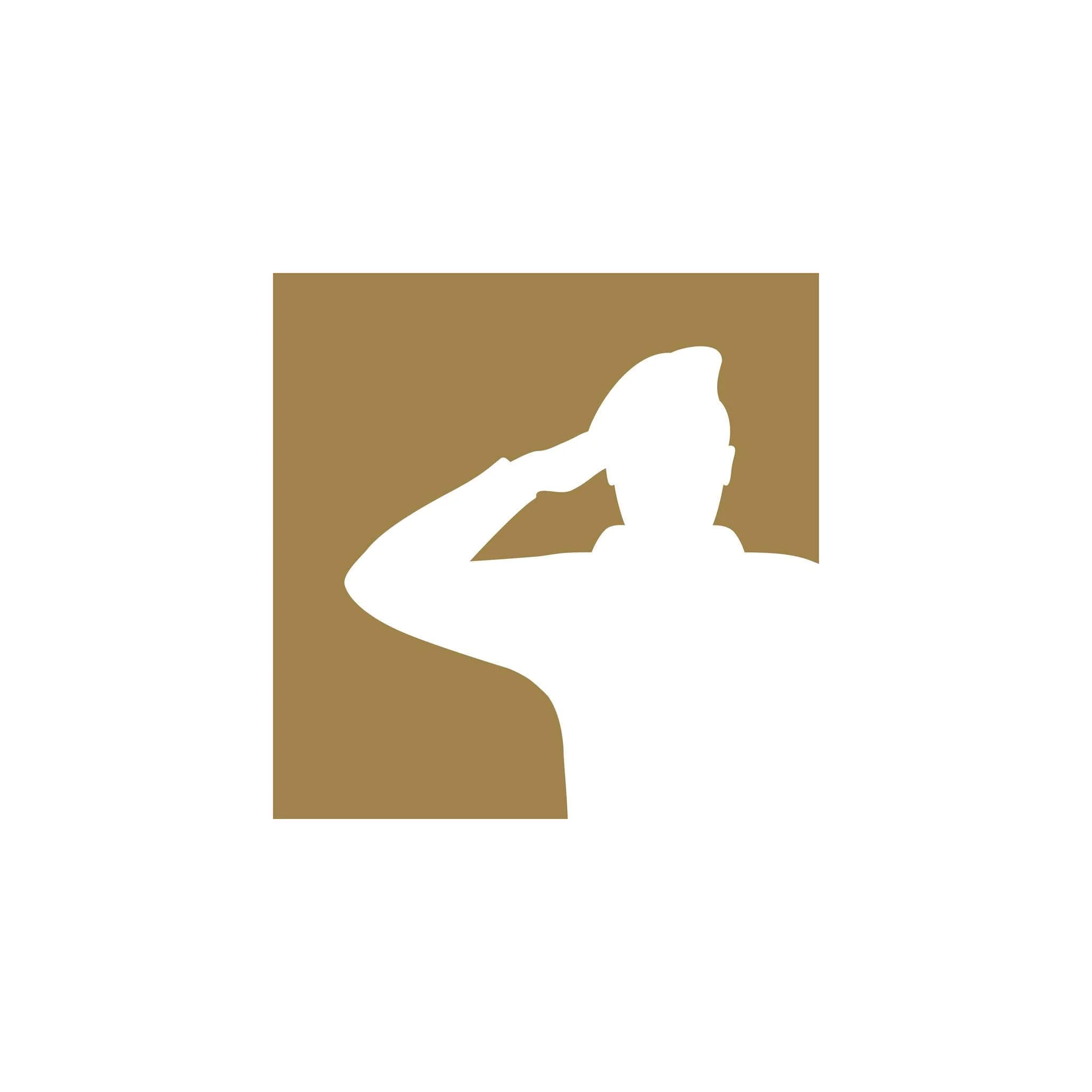 FIDF - Friends of the Israel Defense Forces